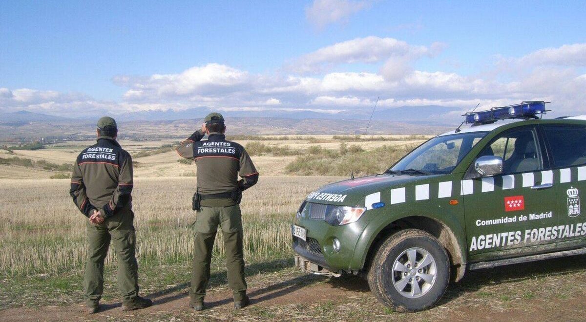 Agentes Forestales : funciones y estadísticas de una profesión clave en la protección del Medio Ambiente